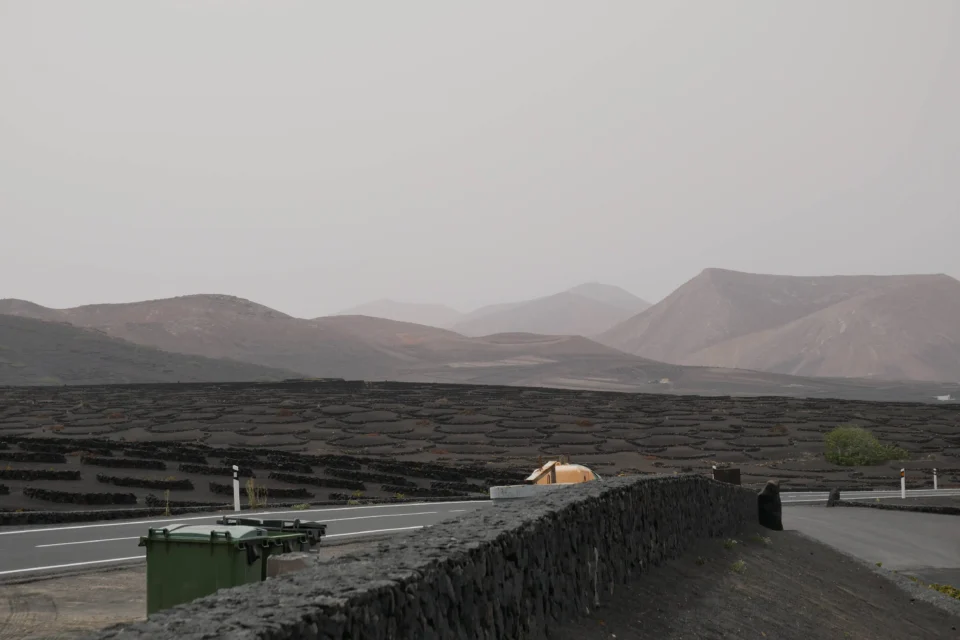 P1000853 960x640